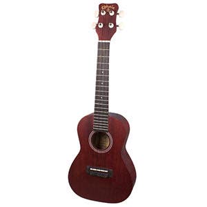 acoustic guitar